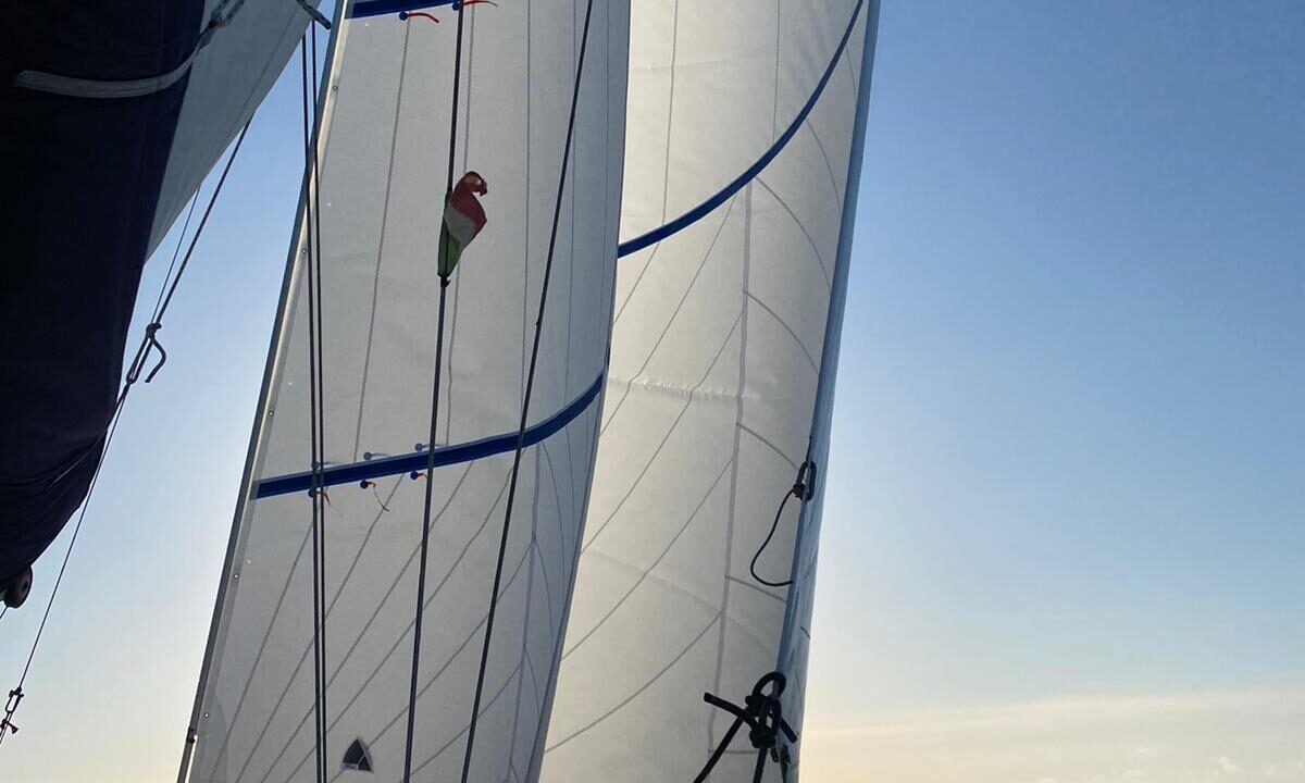 IMG-20210127-WA0000 IMG-20210127-WA0000